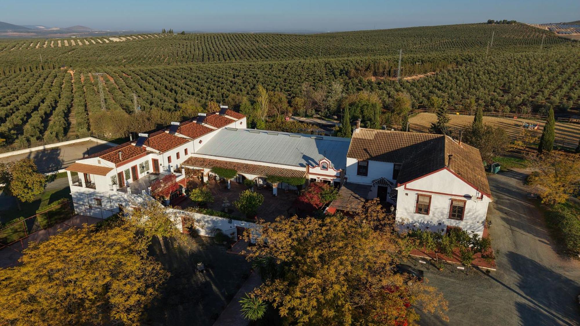 Bed and Breakfast Cortijo Carrillo Cartaojal Zewnętrze zdjęcie
