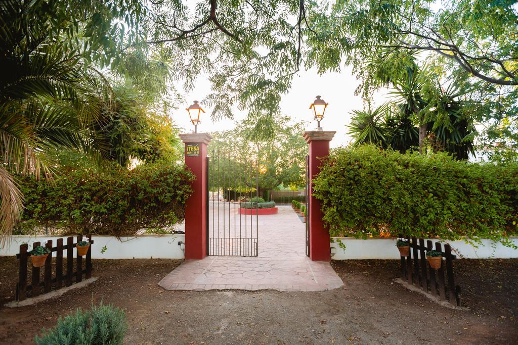 Bed and Breakfast Cortijo Carrillo Cartaojal Zewnętrze zdjęcie